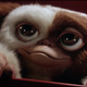 Just look at that bestest face.